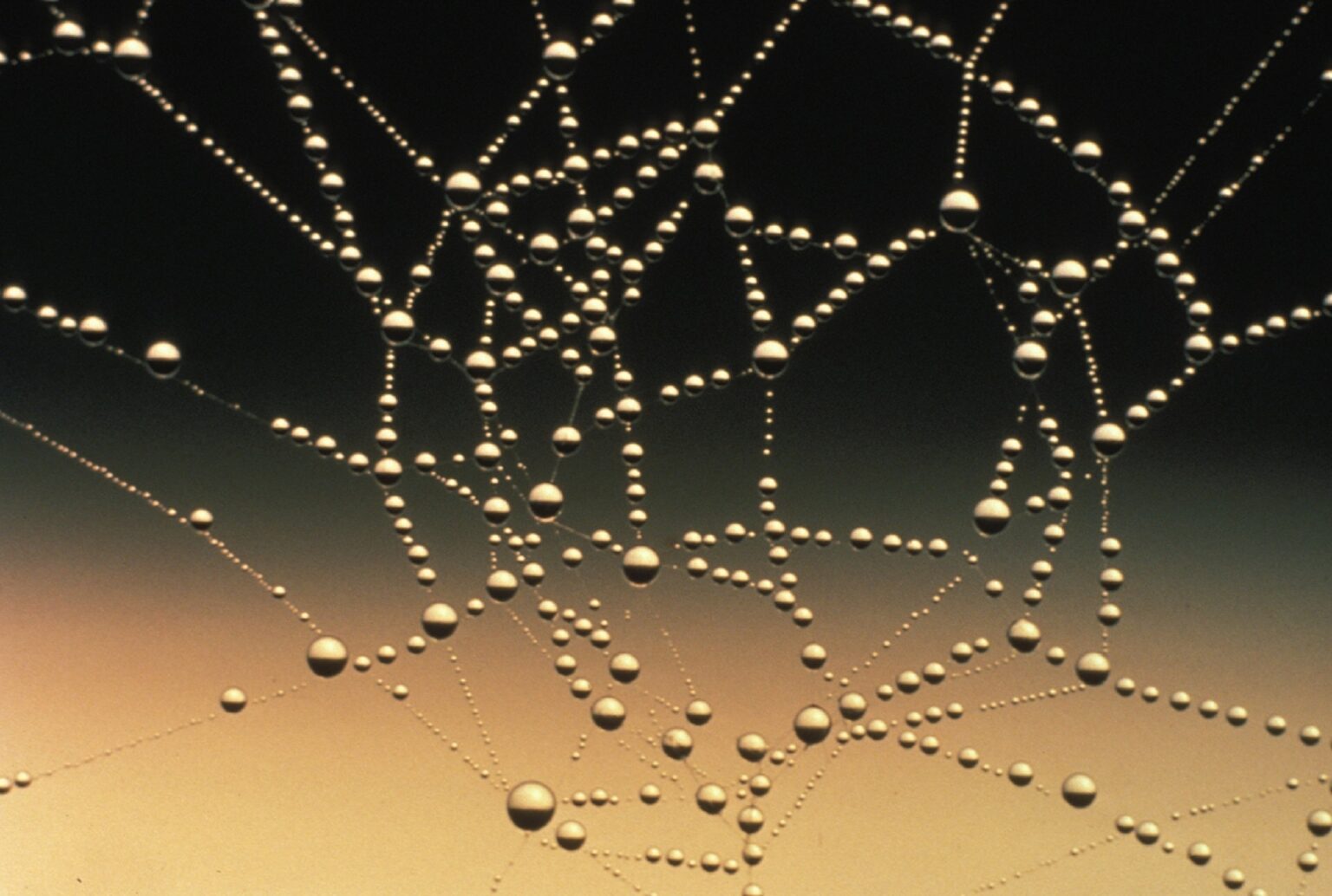 Connected Opinion Leaders (COLs): a new ally for pharma marketers